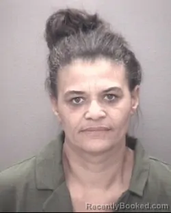 Mugshot of Erika Chavis booked in Robeson County, North Carolina on October 14, 2026