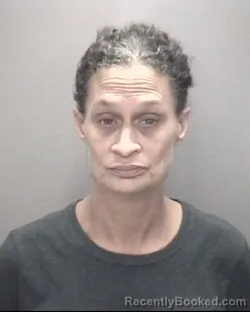 Mugshot of Jennifer Lee Lowery booked in Robeson County, North Carolina on October 6, 2026
