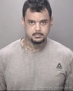 Mugshot of BRYANT LOCKLEAR