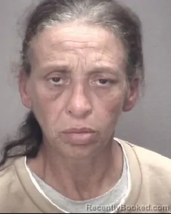 Mugshot of CHILDRESS JEAN LOCKLEAR booked in Robeson County, North Carolina on May 13, 2026
