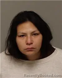 Mugshot of DAKOTA RAINE MOSES