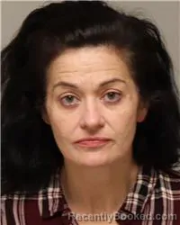 Booking photo from Anoka County, Minnesota