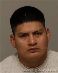 Mugshot of JOSE FERNANDO AREVALO SHAKAI