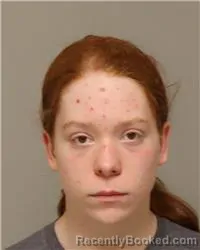 Mugshot of WYATT DAVID HOLMES