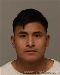 Booking photo from Anoka County, Minnesota