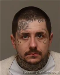 Mugshot of COUGAR L PARROTT-CHRISTOPHERSON