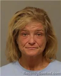 Booking photo from Anoka County, Minnesota