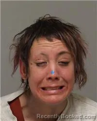 Mugshot of ANGELA LEE HITE