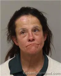 Booking photo from Anoka County, Minnesota