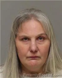 Mugshot of LISA MARIE PEDERSEN