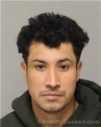 Mugshot of LUIS ENRIQUE TEO LINARES