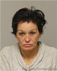 Mugshot of DANA MARIE JACKSON