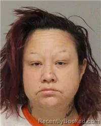 Mugshot of AMBER ELIZABETH BERTSCH