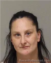 Mugshot of BREANN DAWN SMITH