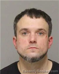 Mugshot of ROMAN SERGEEVICH GOLOVANOV