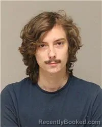 Mugshot of MIKAEL IVANOVICH HAJOVY