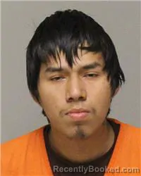 Mugshot of ALVIN WAYNE JOHNSON booked in Anoka County, Minnesota on March 8, 2026