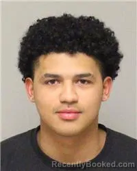 Mugshot of DAMARION JAMES DILLARD booked in Anoka County, Minnesota on March 8, 2026