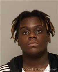 Mugshot of NAOMI T F IRUENE booked in Anoka County, Minnesota on March 13, 2026