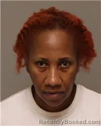 Mugshot of MICHELE JEWEL HAMILTON booked in Anoka County, Minnesota on March 14, 2026