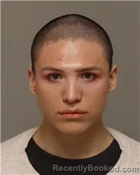 Mugshot of JOAQIN FERNADEZ PLIEGO booked in Anoka County, Minnesota on March 14, 2026