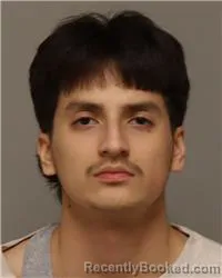 Mugshot of MICHAEL PATRICIO ROMAN ROMAN