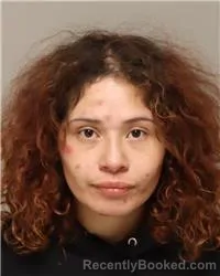 Mugshot of ELIZABETH FLORES-LOPEZ booked in Anoka County, Minnesota on March 16, 2026