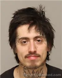 Mugshot of MARIO JAMES DUPAY