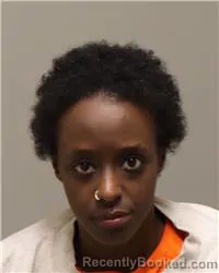 Mugshot of FARDOWSA I IMAN booked in Anoka County, Minnesota on March 17, 2026