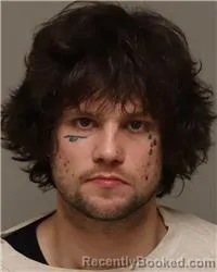 Mugshot of TRAVIS LEON WHITE booked in Anoka County, Minnesota on March 18, 2026