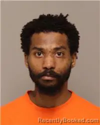 Mugshot of SAVION MARQUIN JOHNSON-STANLEY booked in Anoka County, Minnesota on March 18, 2026