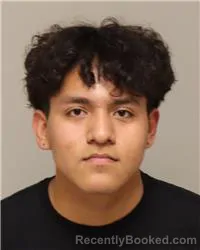 Mugshot of JEIFFRY JOSUE MEJIA CASTRO booked in Anoka County, Minnesota on March 18, 2026