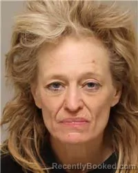 Mugshot of APRIL CHANTELLE STEEVES booked in Anoka County, Minnesota on March 19, 2026