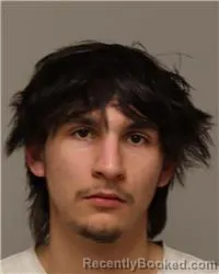 Mugshot of EDAN GABRIEL LORENZ booked in Anoka County, Minnesota on March 20, 2026