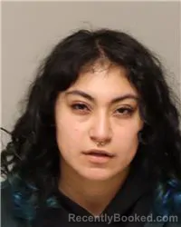 Mugshot of ANGELA ROSE QUAMMEN booked in Anoka County, Minnesota on March 22, 2026