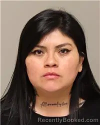 Mugshot of KARLA GORETTI PEREZ ZAMORA booked in Anoka County, Minnesota on March 22, 2026