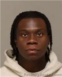 Mugshot of TIRIK RENE REEVES booked in Anoka County, Minnesota on March 23, 2026