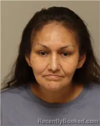 Mugshot of VANESSA MAE WILLIAMS booked in Anoka County, Minnesota on March 23, 2026