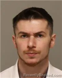 Mugshot of DYLAN CHRISTOPHER BUSSE booked in Anoka County, Minnesota on March 24, 2026