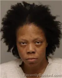 Mugshot of LISA NICOLE JOHNSON booked in Anoka County, Minnesota on March 24, 2026