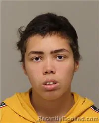 Mugshot of NATALIE JAYNE-GRACE SELFORS booked in Anoka County, Minnesota on March 24, 2026