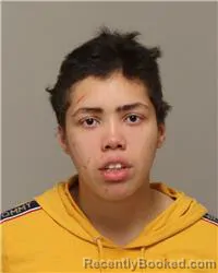 Mugshot of NATALIE JAYNE-GRACE SELFORS booked in Anoka County, Minnesota on March 24, 2026