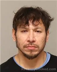 Mugshot of MARK PATRICK PAPASODORA booked in Anoka County, Minnesota on March 24, 2026