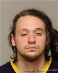 Mugshot of DRAYTON ALEXANDER SHAW booked in Anoka County, Minnesota on March 25, 2026