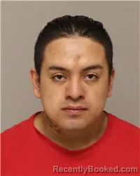 Mugshot of EMERSON DAVID QUINATOA MONTESDEOCA booked in Anoka County, Minnesota on March 25, 2026