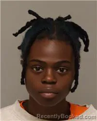 Mugshot of ASHLEY KAYLA MASAKARA booked in Anoka County, Minnesota on March 26, 2026