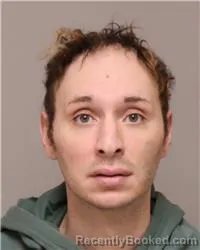 Mugshot of DAVONTE EL HARVEY booked in Anoka County, Minnesota on March 26, 2026