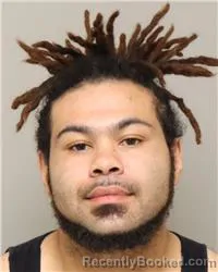 Mugshot of AUSTIN WAYNE DENZER booked in Anoka County, Minnesota on March 26, 2026