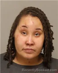 Mugshot of MARIA SANTANA LAT DELEON SOLOMON booked in Anoka County, Minnesota on March 26, 2026