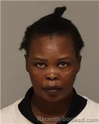 Mugshot of JULIA MODI KOJO booked in Anoka County, Minnesota on March 26, 2026